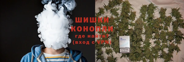 PSILOCYBIN Магас