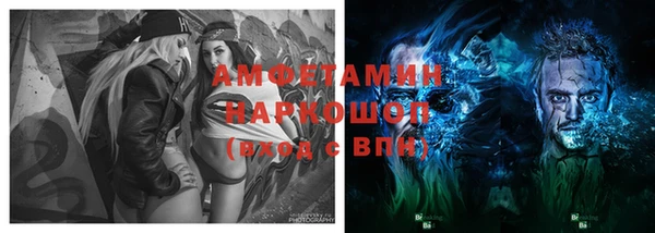 стаф Магадан