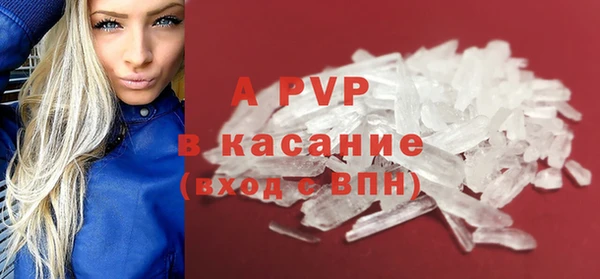 стаф Магадан