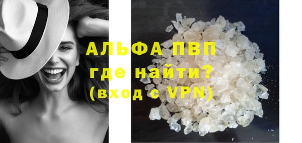 PSILOCYBIN Магас