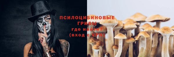 стаф Магадан