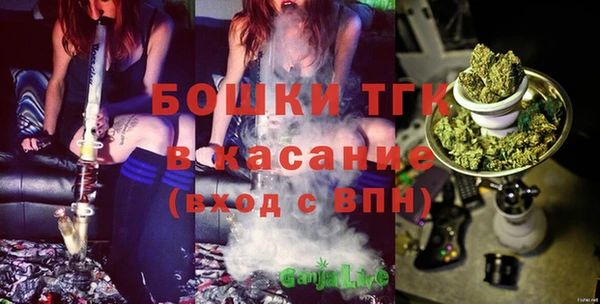 PSILOCYBIN Магас