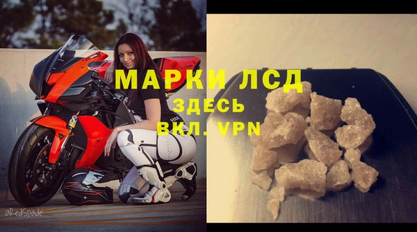 стаф Магадан