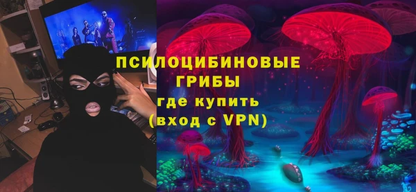 PSILOCYBIN Магас