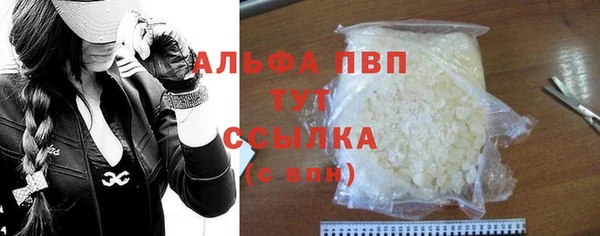 стаф Магадан