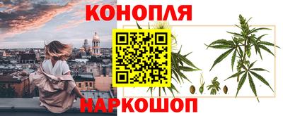 прущие грибы Жуковский