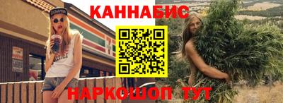 прущие грибы Будённовск