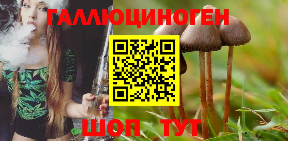 Галлюциногенные грибы GOLDEN TEACHER  Ульяновск 