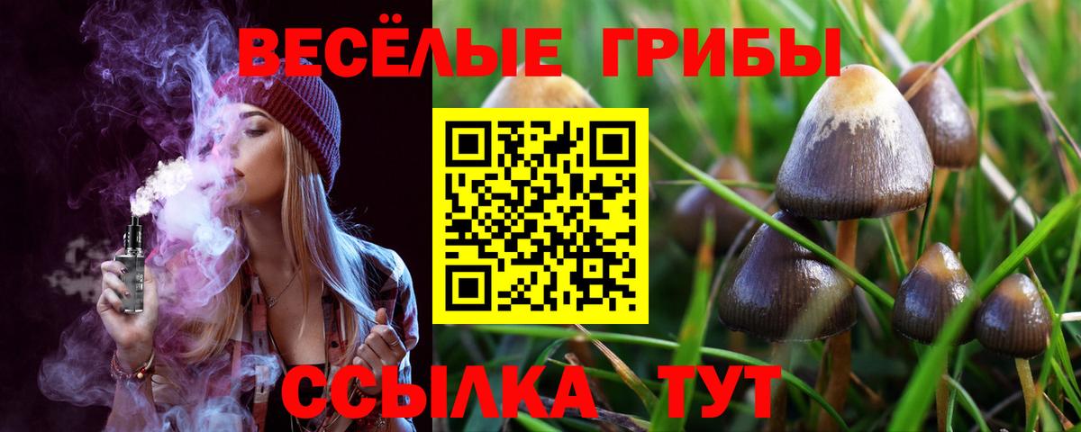 Псилоцибиновые грибы MAGIC MUSHROOMS Ульяновск