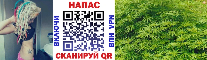 Шишки марихуана SATIVA & INDICA где можно купить Ульяновск